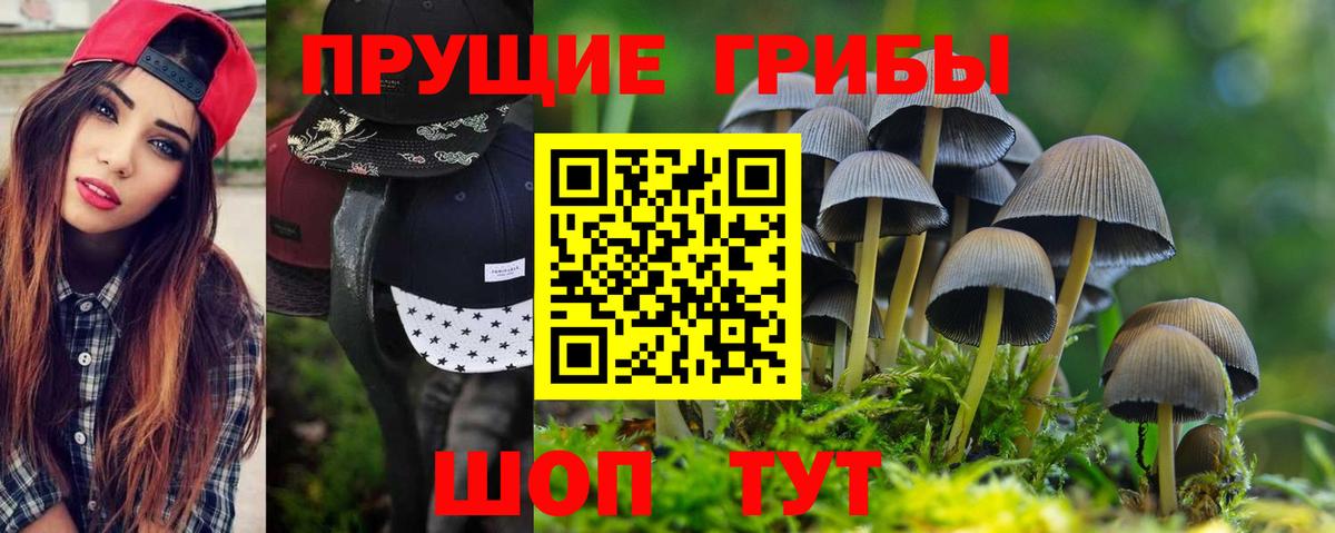 Учалы  Псилоцибиновые грибы MAGIC MUSHROOMS  наркотики  Вход с VPN 